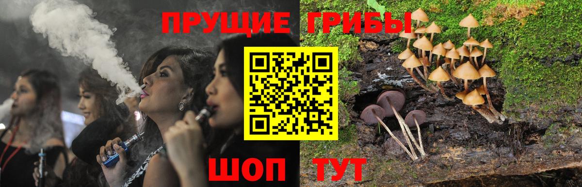 Псилоцибиновые грибы Magic Shrooms Знаменск