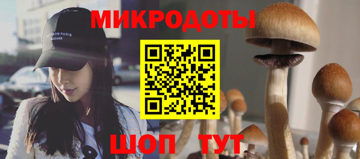 МЕФ Знаменск
