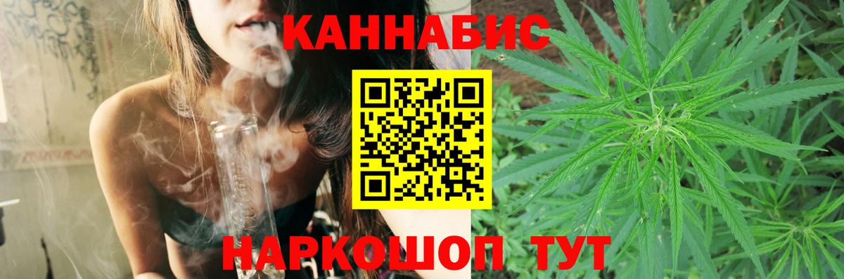 Каннабис сатива Знаменск